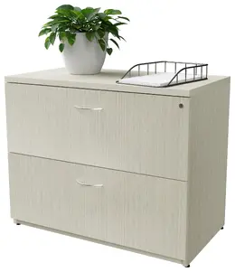 2 Drawer Lateral Filing Cabinet - Maverick