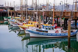 Boat Candy - Office Wall Art - Oceans Beaches Harbors