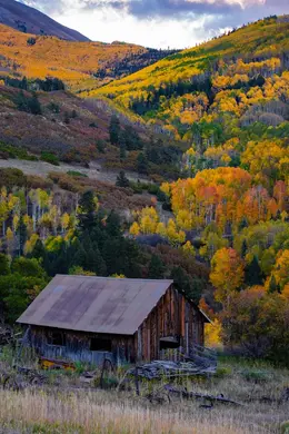 Yard Sale Vertical - Office Wall Art - Mountains