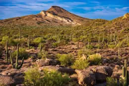 Brown's Ranch - Office Wall Art - Desert Southwest