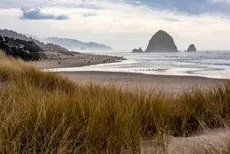 Dunes - Office Wall Art - Pacific Nothwest