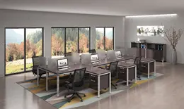 6 Person Workstation with Privacy Panels - Simple System