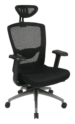 Mesh Back Office Chair with Headrest - Pro Line II