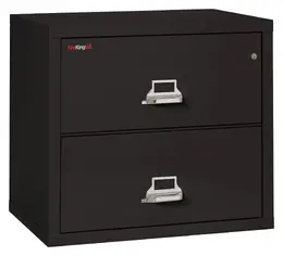 2 Drawer Lateral Fireproof File Cabinet - 32" Wide - Classic