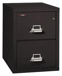 2 Drawer Vertical Fireproof File Cabinet - 21" Wide - Classic