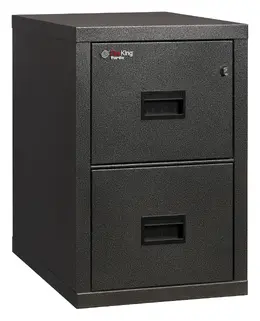 2 Drawer Fireproof File Cabinet - Legal & Letter Size - Turtle