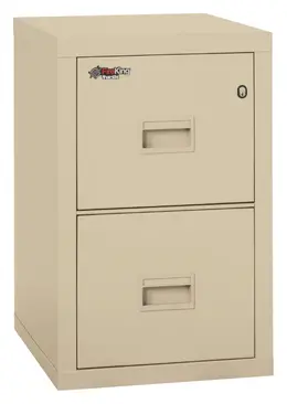 2 Drawer Fireproof File Cabinet - Legal & Letter Size - Turtle