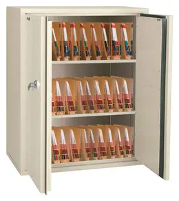 Medical Fireproof Storage Cabinet - End Tab Legal Filing