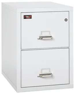 2 Drawer Fireproof File Cabinet - Letter Size