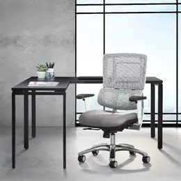 Ergonomic Task Chair with Lumbar Support - Pro Line II