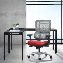 Mesh Task Chair with Lumbar Support - Pro Line II