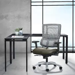 Mesh Task Chair with Lumbar Support - Pro Line II