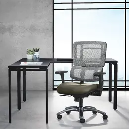 Tall Ergonomic Office Chair - Pro Line II