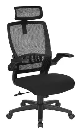 Ergonomic Desk Chair - Pro-Line II