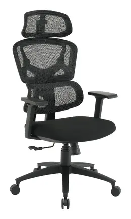 Ergonomic Desk Chair - Pro-Line II