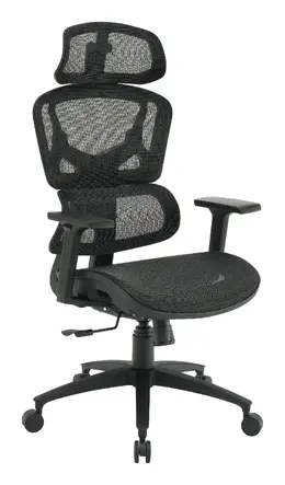 Ergonomic Desk Chair - Pro-Line II