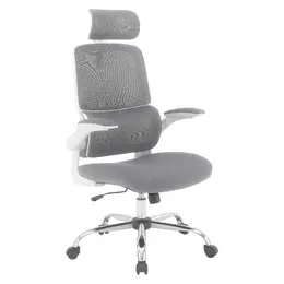 Mesh Back Office Chair - Pro-Line II