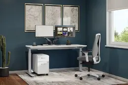 Sit Stand Desk - PL Laminate