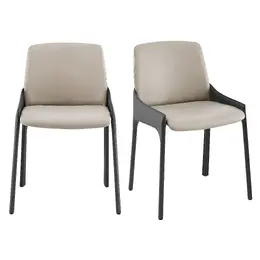 Elegant Guest Chair - Set of 2 - Vilante