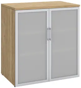 Office Storage Cabinet with Glass Doors - PL Laminate