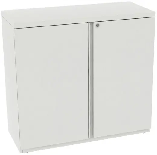 Storage Cabinet - double door / 2 adjustable shelf  39-1/2h x 42w x 18d