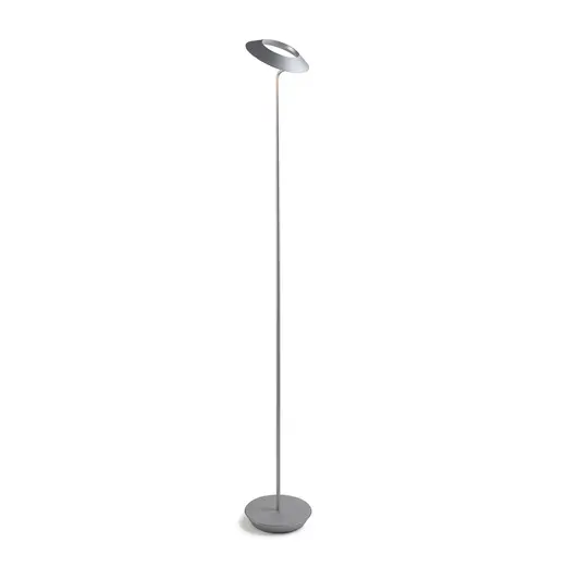 Royyo LED Floor Lamp