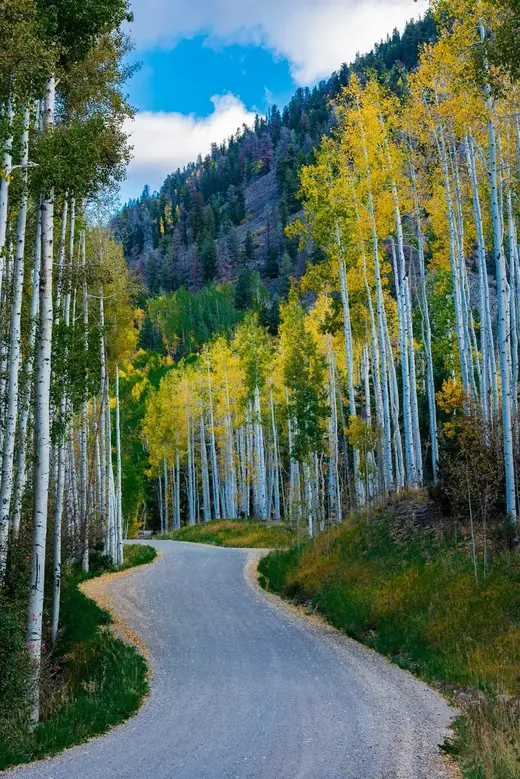 Landscape Wall Art that Sets the Tone for the Office