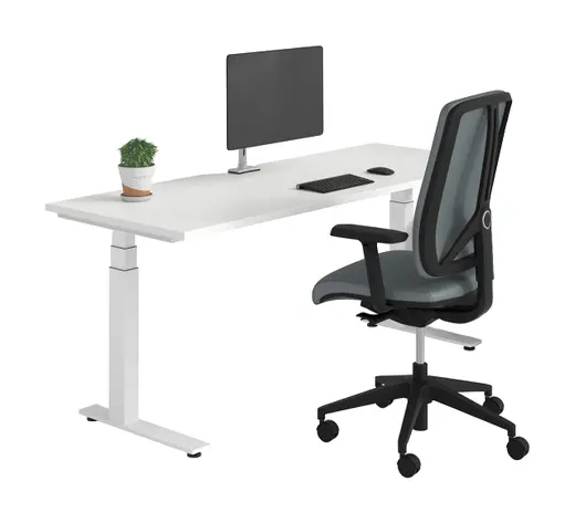70 x 24 Electric Height Adjustable Rectangular Table w/ Smile Cut-Out