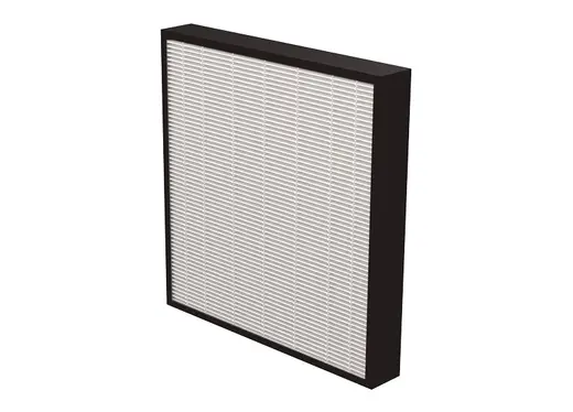 AeraMax PRO 2 HEPA Filter with Antimicrobial Treatment (2 pk)