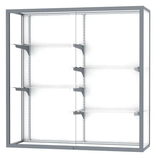 Champion Display Case - 48W x 16D x 48H
