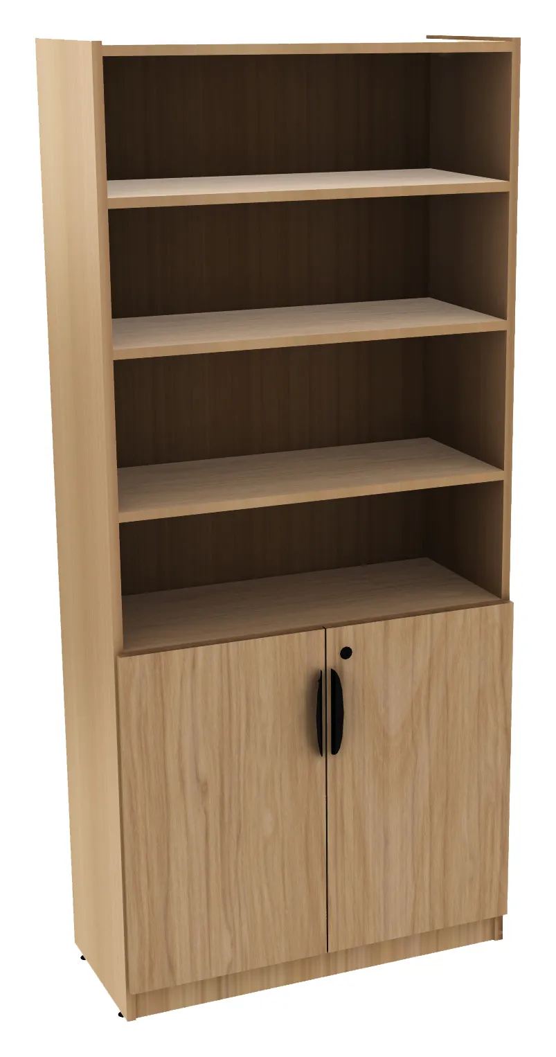 Bookcase with Locking Doors