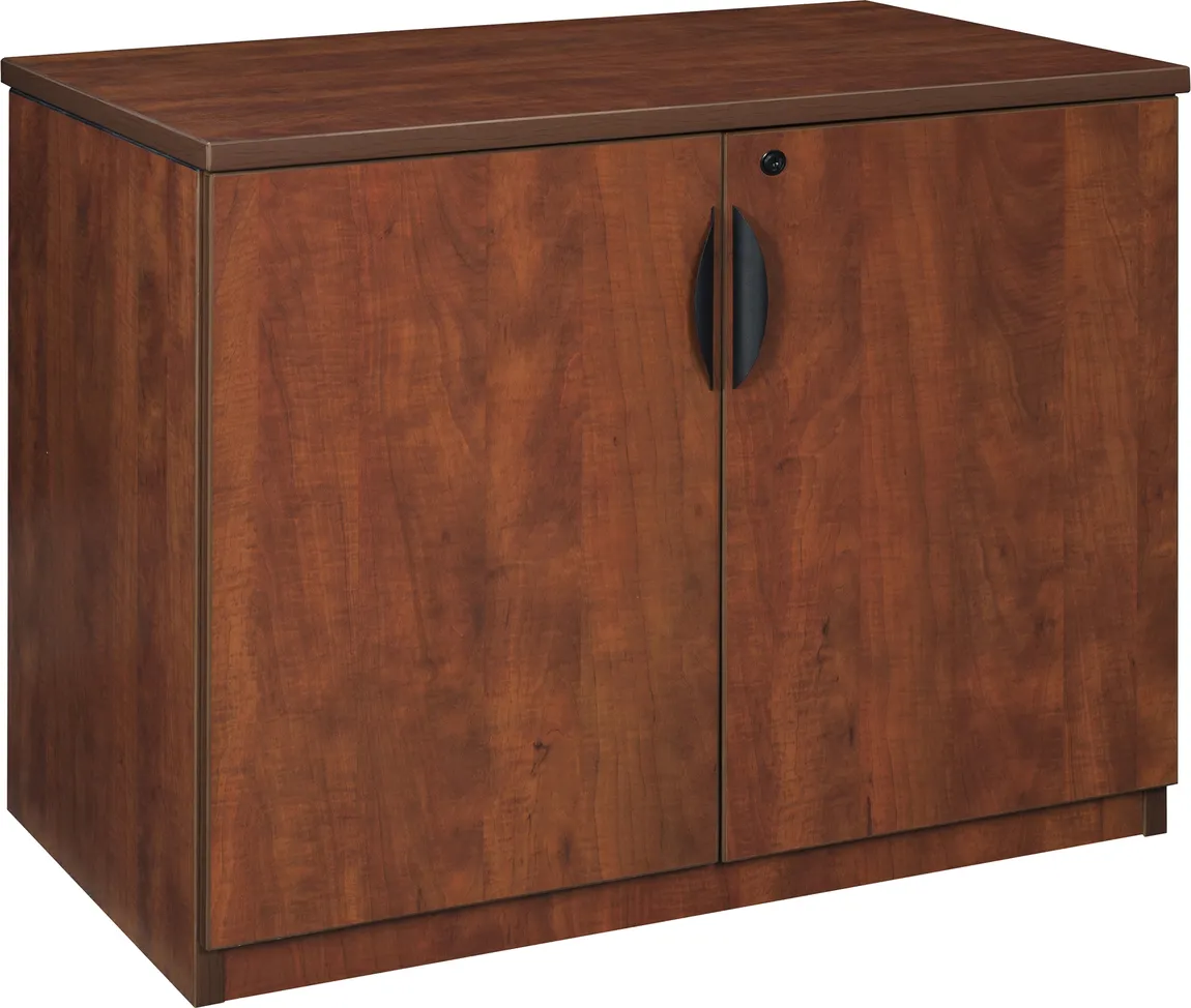 Storage Cabinet with Doors
