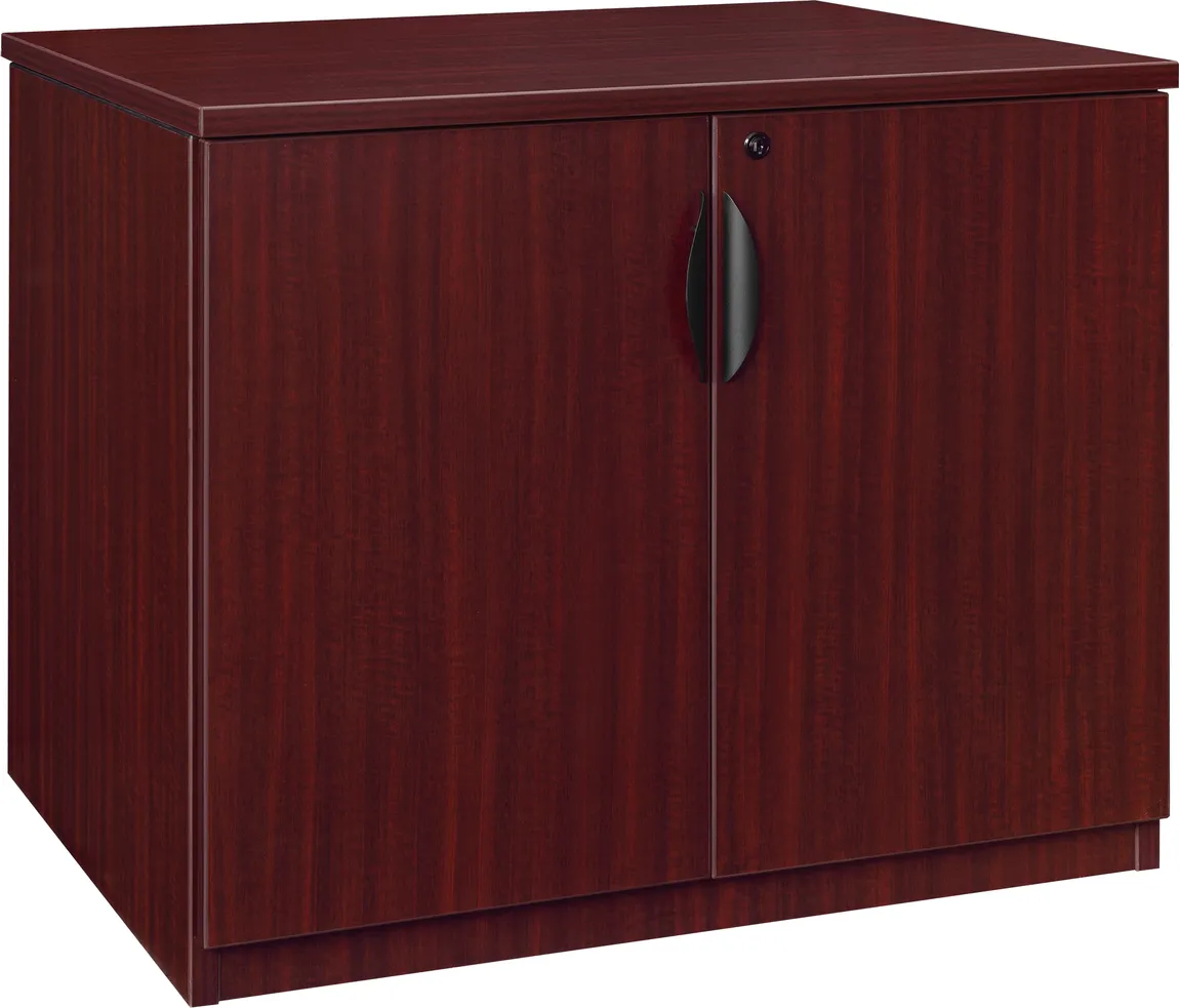 Storage Cabinet with Doors