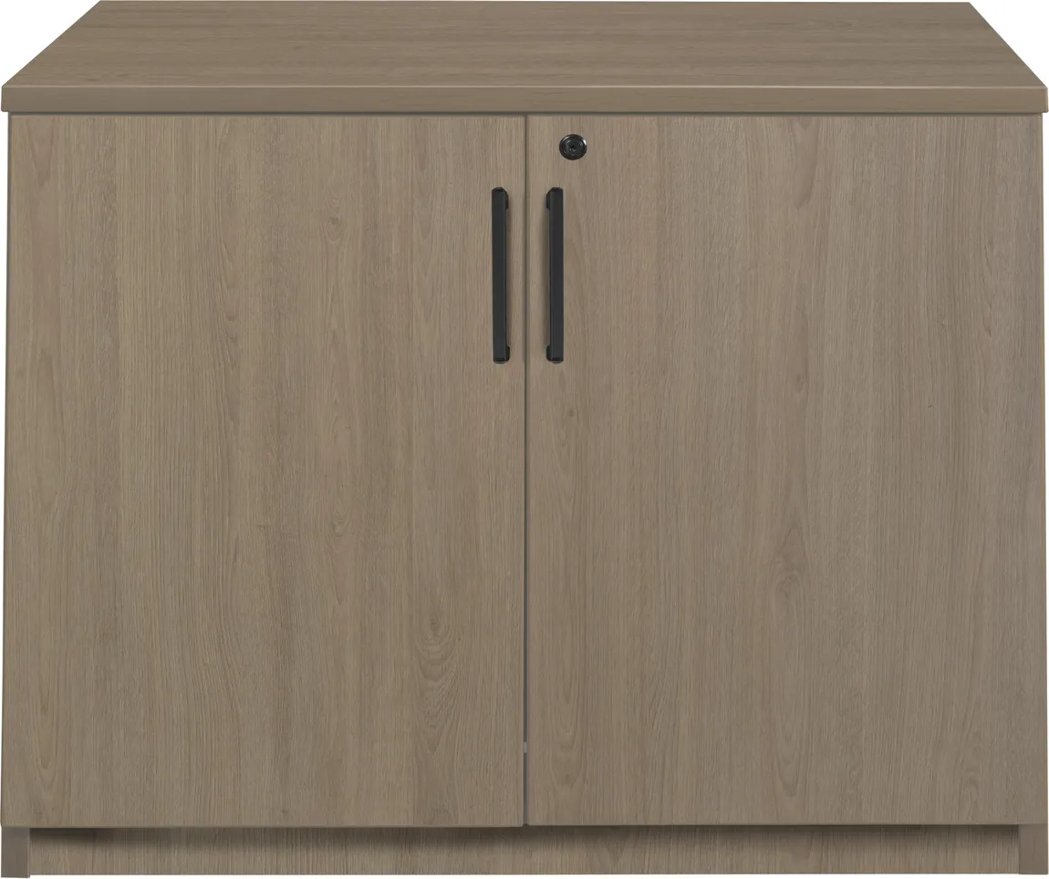 Storage Cabinet with Doors