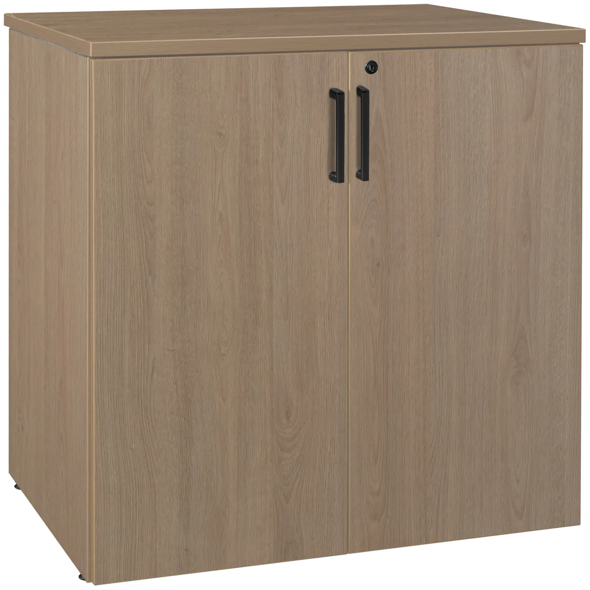 Storage Cabinet with Lock