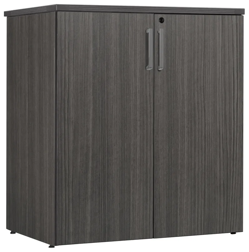 Lockable Storage Cabinet