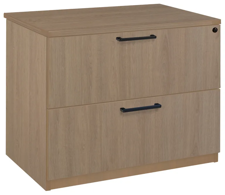 2 Drawer Lateral File Cabinet