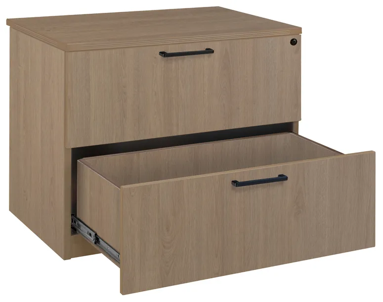 2 Drawer Lateral File Cabinet