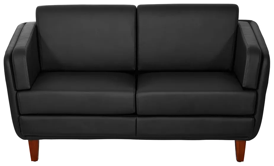 Office Loveseat Couch
