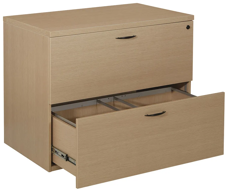 2 Drawer Lateral File Cabinet