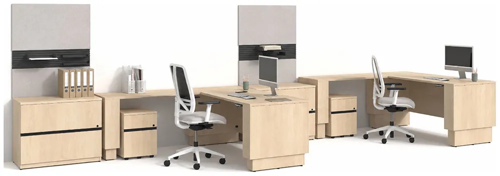 2 Person Sit Stand Desk with Storage Set
