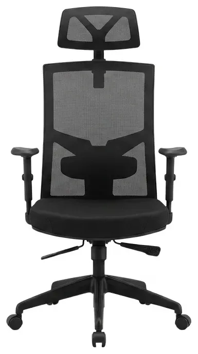 Ergonomic Office Chair with Headrest