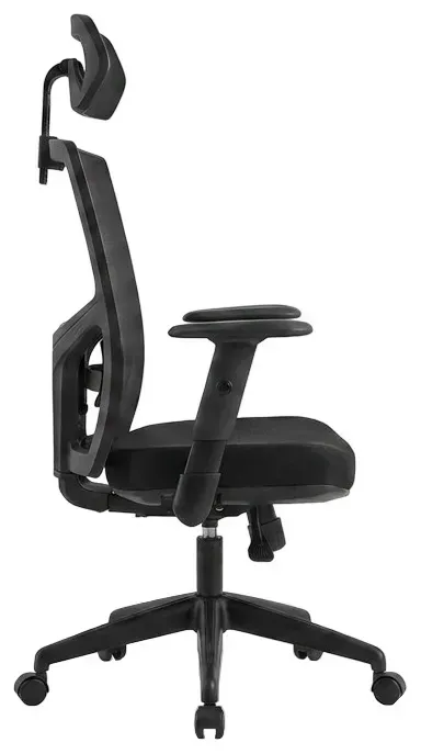 Ergonomic Office Chair with Headrest