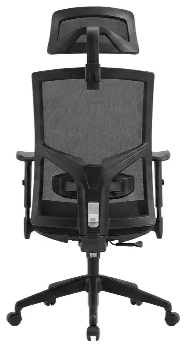 Ergonomic Office Chair with Headrest