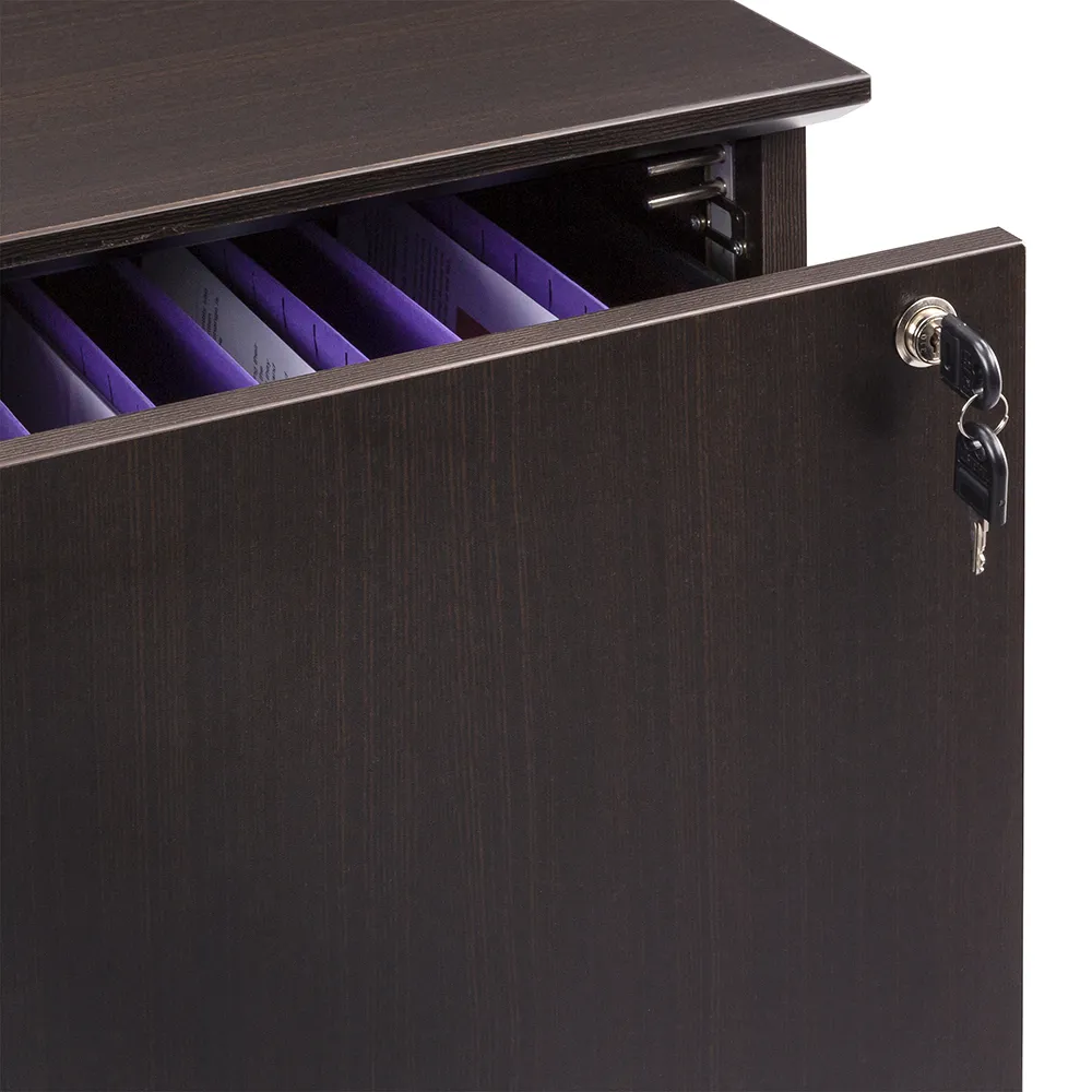 2 Drawer Lateral File Cabinet