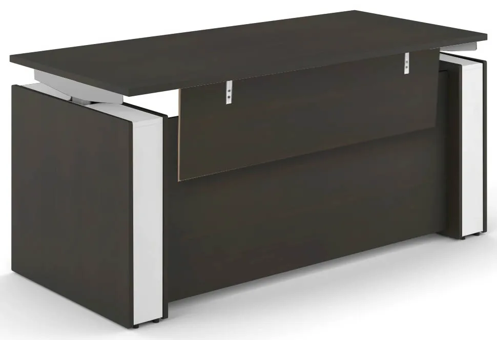 Standing Desk with Modesty Panel