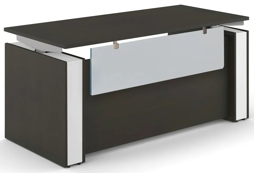 Sit Stand Desk with Acrylic Modesty Panel