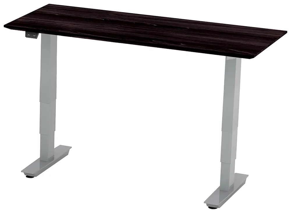 Rectangular Adjustable Height Desk