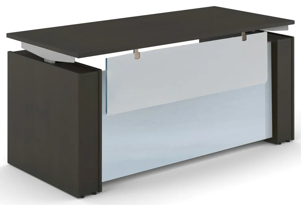 Sit Stand Desk with Modesty Panel