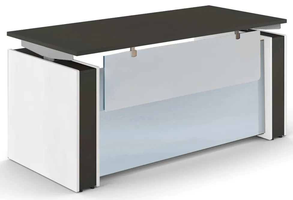 Standing Desk with Modesty Panel